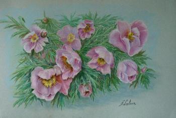 Maryin root. Lizlova Natalija