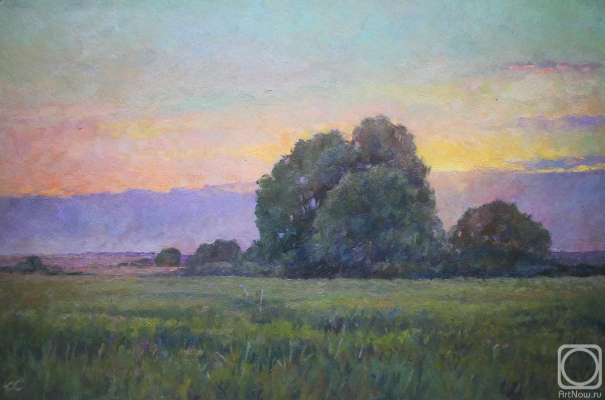 Sapozhnikov Yura. June Sunset