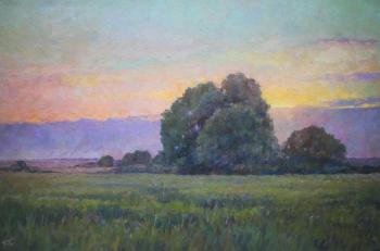 June Sunset. Sapozhnikov Yura