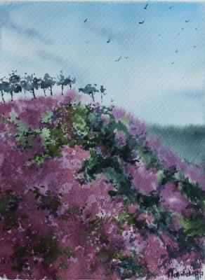 ������� ����������� ������