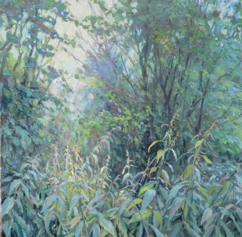 ������� ��������