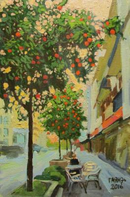 Oranges in the streets of Marbella. Dobrovolskaya Gayane