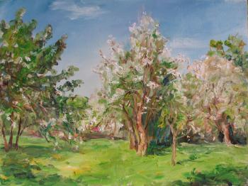 ������� ��������� ���