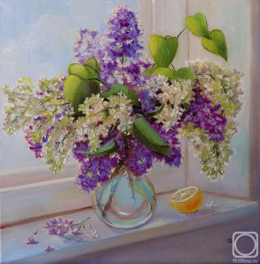 ������� ������ �� ������. �������� ��������. ������ �� ����