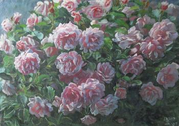 Rose bush. Dobrovolskaya Gayane