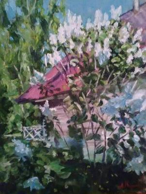 ���� ������ � �����. ������� ������