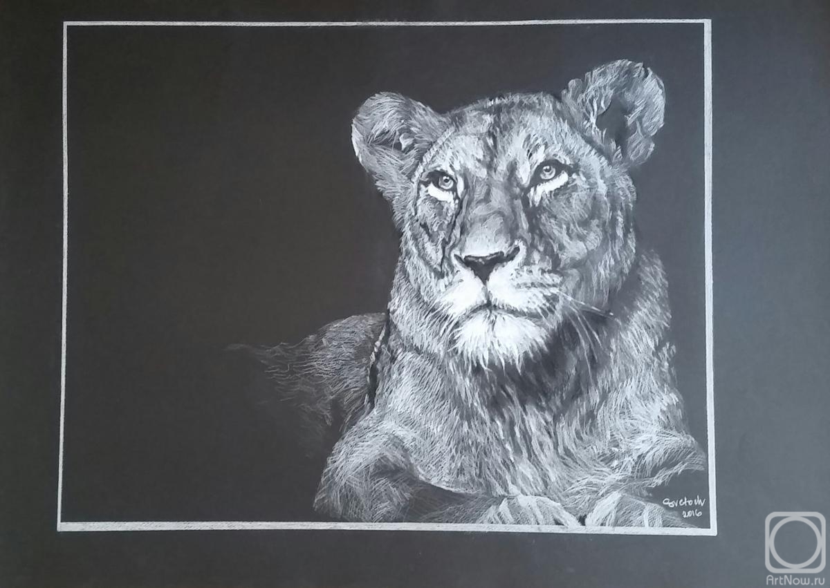 �������. �������� ��������. ������