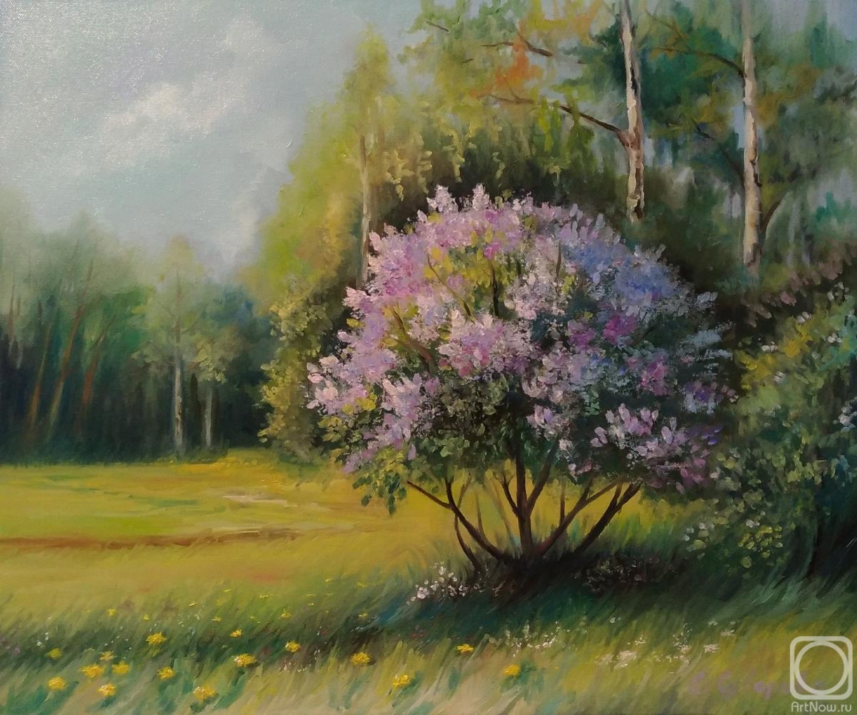 Suvorova Ekaterina. The lilac bush