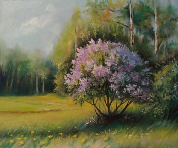 The lilac bush. Suvorova Ekaterina