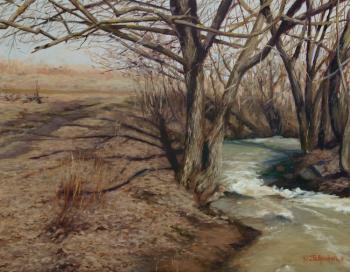 The snow is gone. Gavrilenok Yuriy