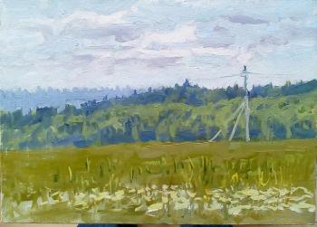 June. Edge of the forest