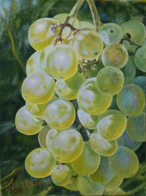 Green grapes. Kudryashov Galina