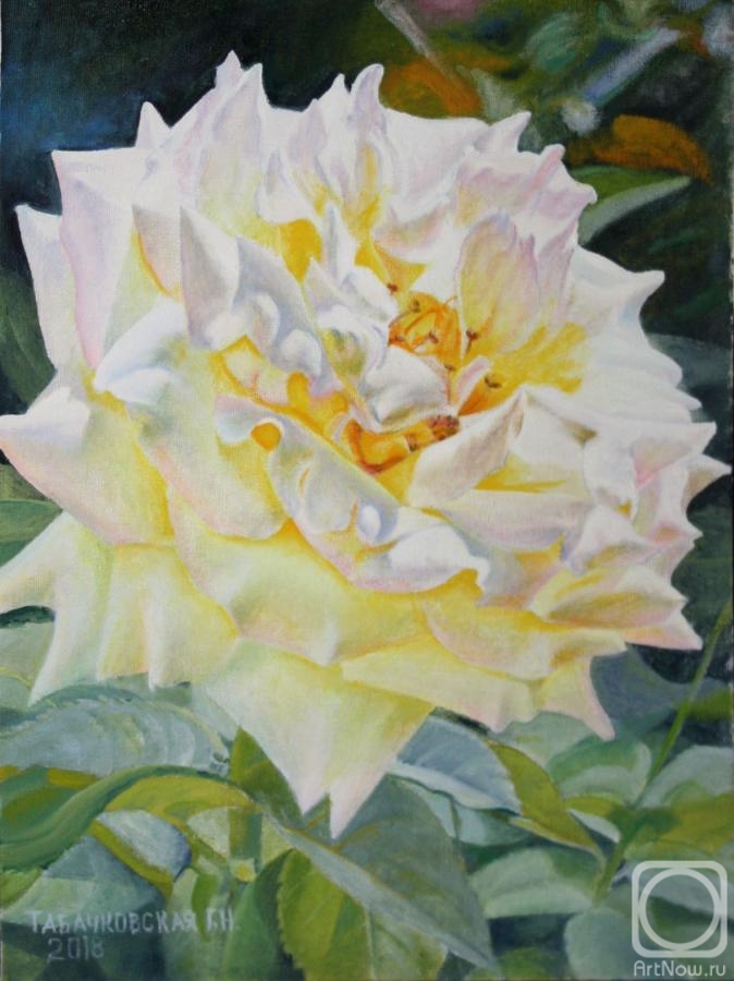 Kudryashov Galina. A yellow rose