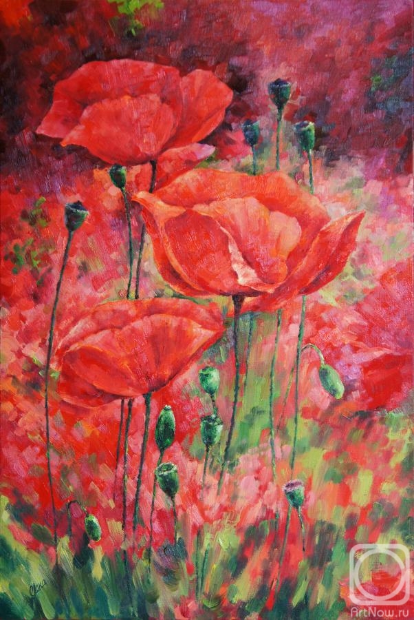 ������� ������ �� ������. �������� �����. ������� ����