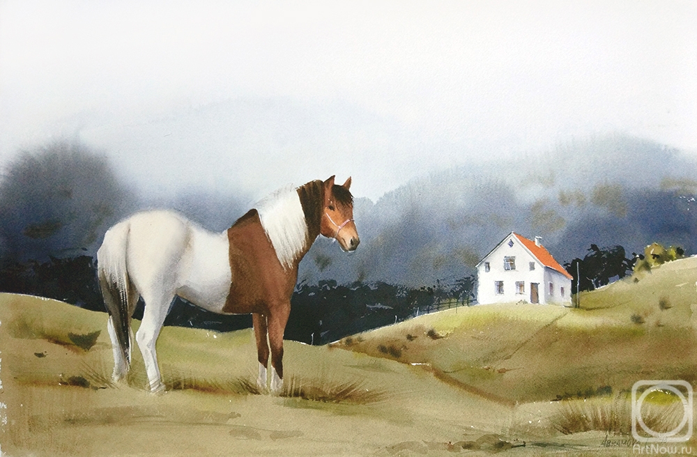 Abramova Tatyana. Landscape n.16_Iceland Horse