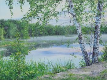 Birch, Lake. Vokhmin Ivan