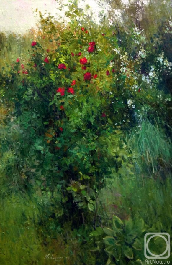 ������� ������ �� ������. �������� �������. ������ ���