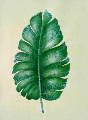 Green leaf (Herbarium). Bruno Tina