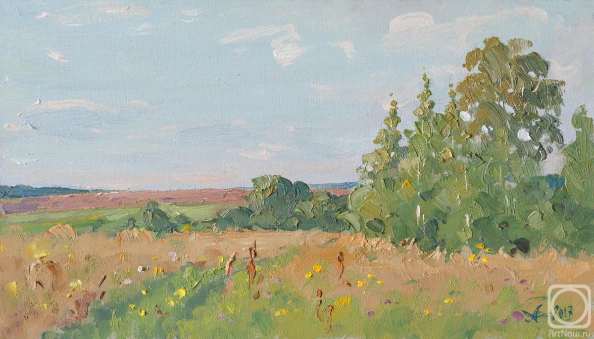 Alexandrovsky Alexander. Field, summer sketch