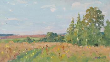 Field, summer sketch (Summer Field). Alexandrovsky Alexander