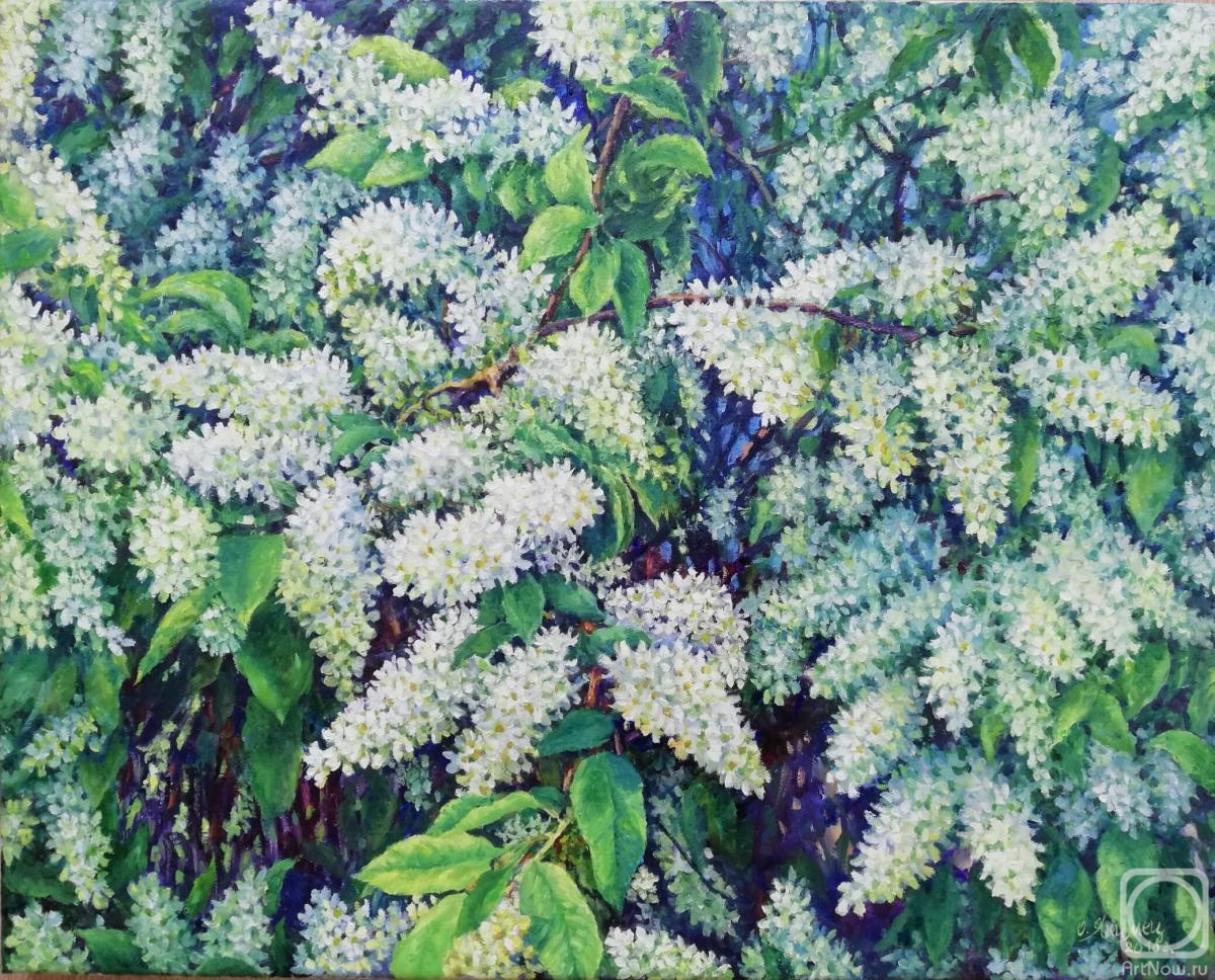 ������� ������ �� ������. ������ �����. �������� �������