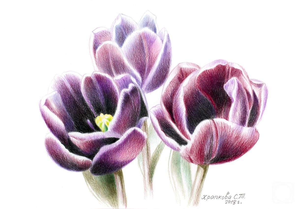 Khrapkova Svetlana. Tulips Alexander Pushkin