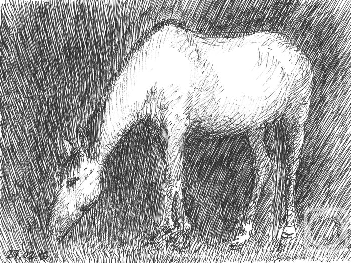 �������. ������� ���������. �����