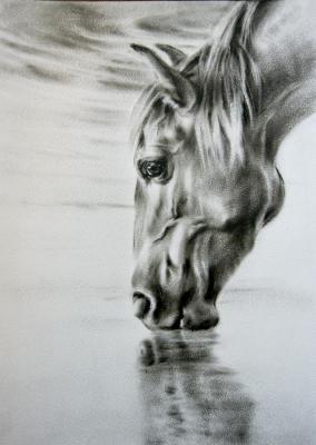 �� �������. ��� �����