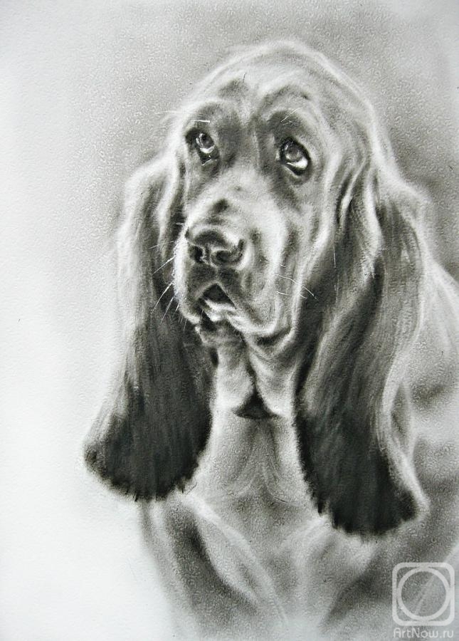 �������. ��� �����. � ����� �� ��������, ������ ��� �������