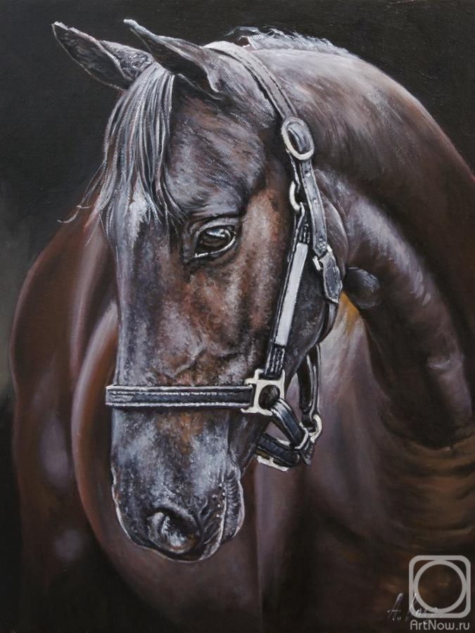 Volya Alexander. The Dark Horse