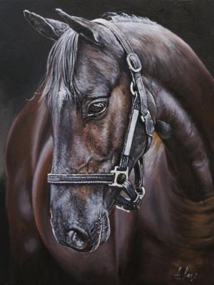The Dark Horse. Volya Alexander