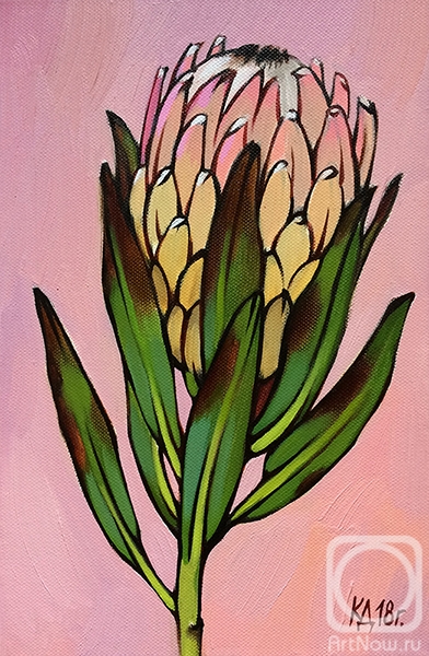 ������� ������ �� ������. ��������� ����. ��� ������ ������