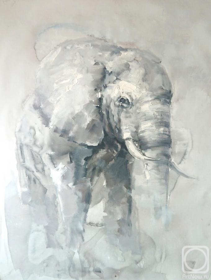 Garcia Luis. Elephant