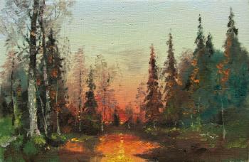 Evening in forest, sunset