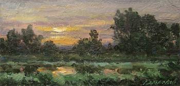 Evening at an overgrown pond (sketch). Gaiderov Michail