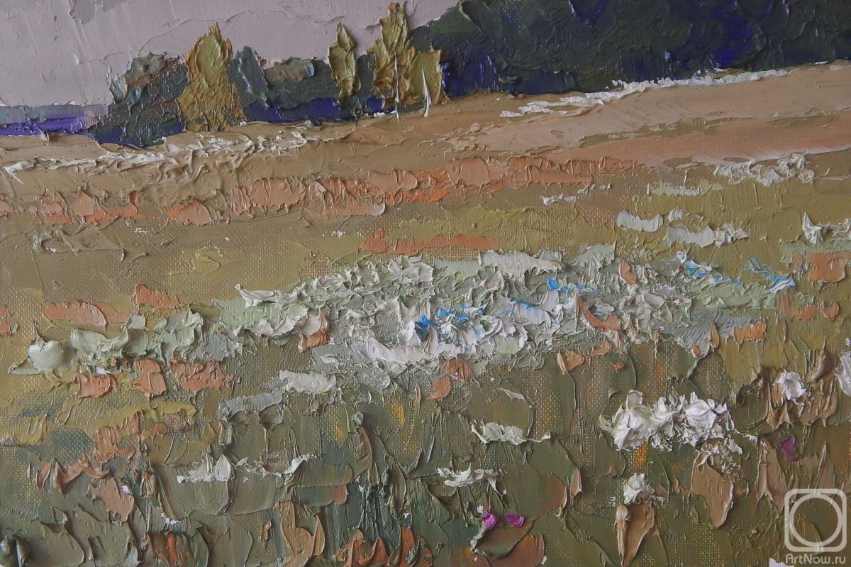 Golovchenko Alexey. Dry grass