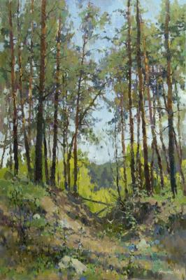 In the shade of the rustling pines. Zhilov Andrey