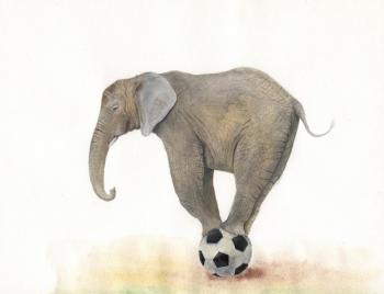 Illustrations on the world football Cup. Elefant. Metchenko Elena