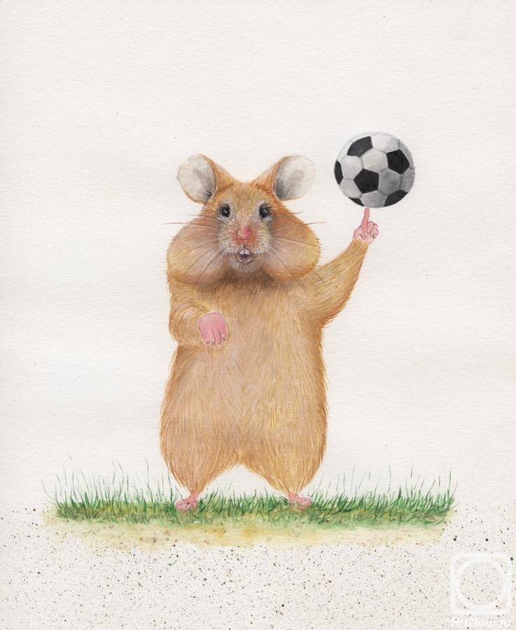 Metchenko Elena. Illustration on the theme of the world Cup. Hamster