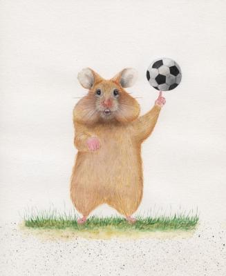 Illustration on the theme of the world Cup. Hamster. Metchenko Elena