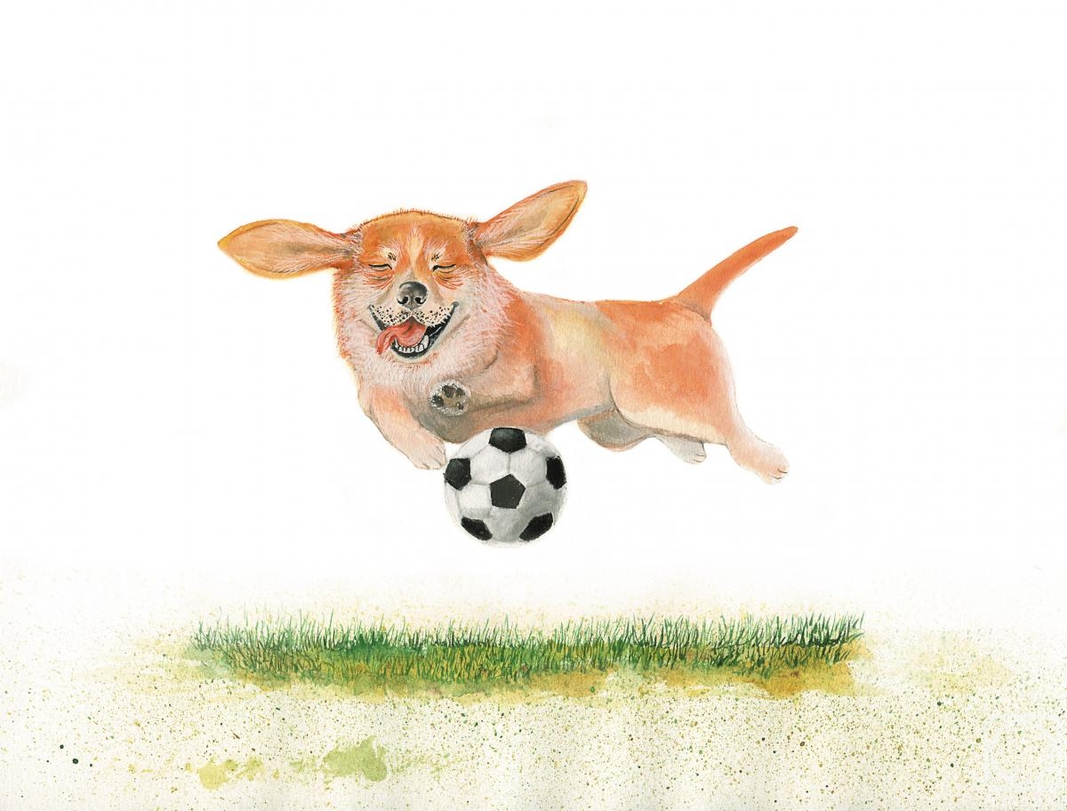 Metchenko Elena. Illustration on the theme of the world Cup. Dog