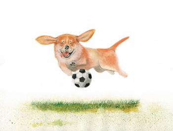 Illustration on the theme of the world Cup. Dog. Metchenko Elena