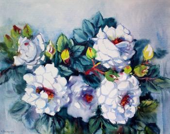 ������� ������ ���� ����� ������