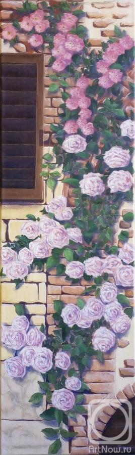 ������� ������ �� ������. ����� �������. ��������� ���������� �9