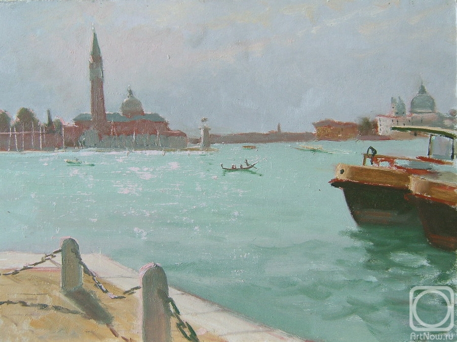Goodwill Vitaliy. The Grand Canal in Venice