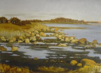 stony shore on the solovki