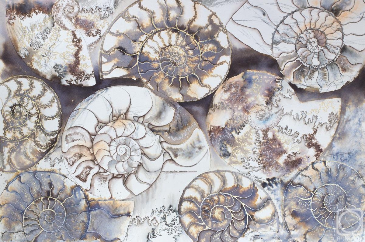 .  . Art Ammonite 2
