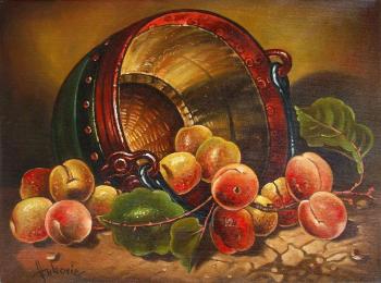 Apricots. Vukovic Dusan