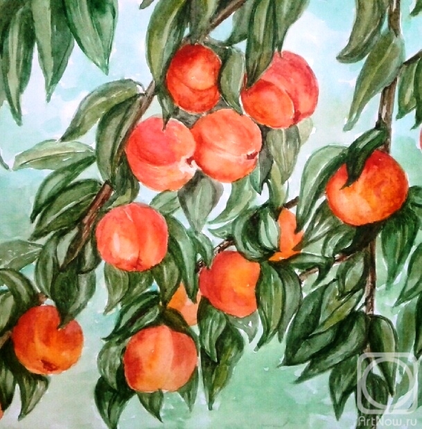 �������. ��������� �������. ����������� ������