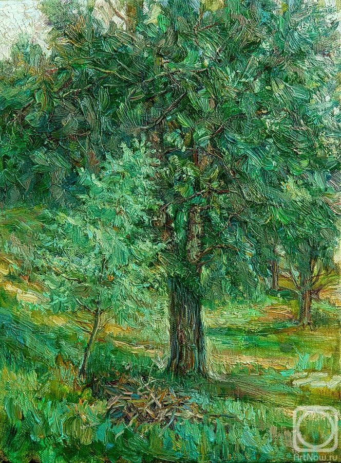 ������� ������ �� ������. ������ �������. ���� �����